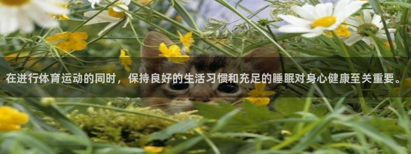 yy易游官网下载招商电话号码查询是多少