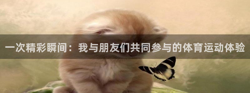 yy易游官网下载是干嘛的公司：一次精彩瞬间：我与朋友们共同参
