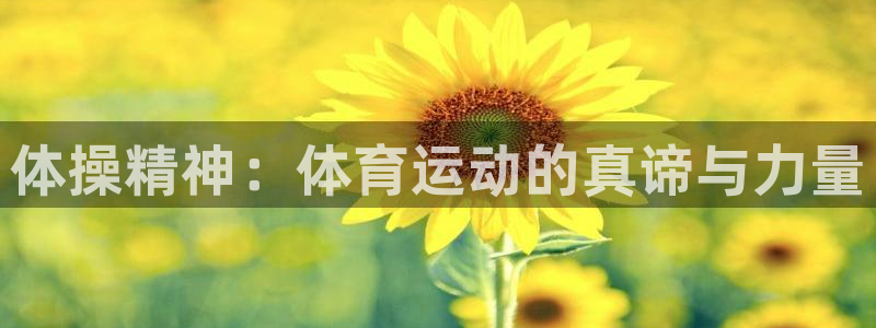 yy易游官网下载招商电话地址查询