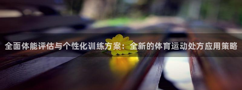 yy易游官方正版app官方：全面体能评估与个性化训练
