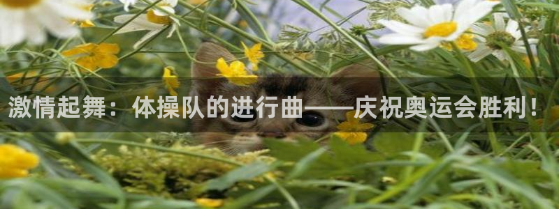 yy易游官方正版app娱乐网站