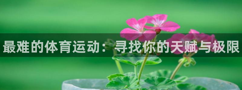 yy易游官网下载平台：最难的体育运动：寻找你的天赋与