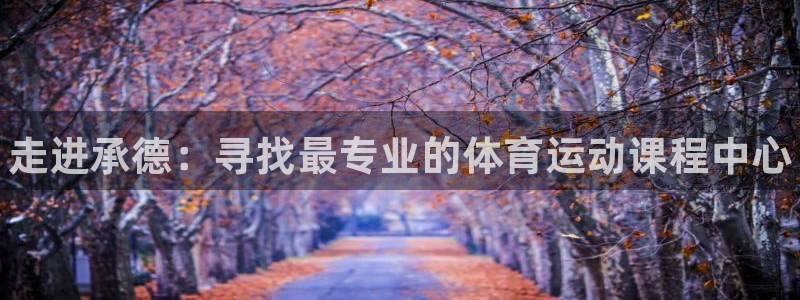 yy易游官网下载是干嘛的公司：走进承德：寻找最专业的体育运动