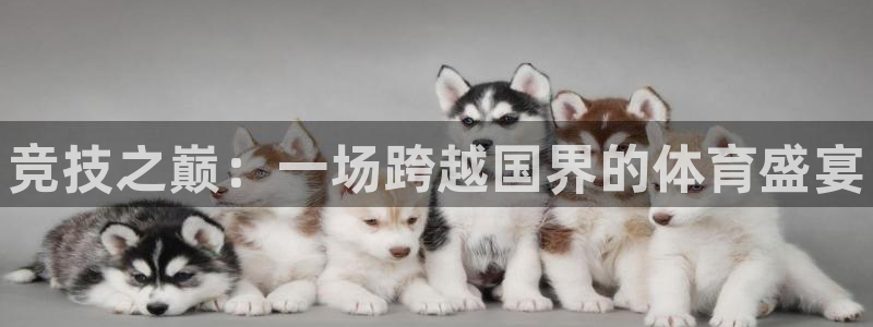 yy易游官方正版app科技：竞技之巅：一场跨越国界的体育盛宴