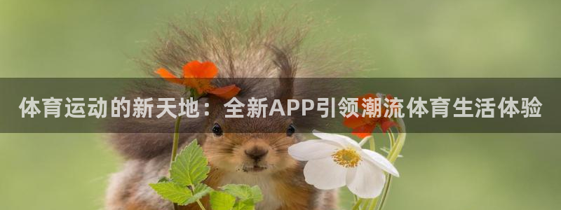 yy易游官方正版app娱乐网站：体育运动的新天地：全新APP