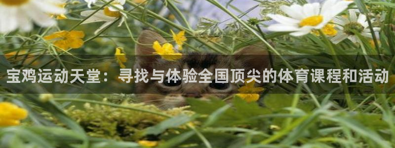 yy易游官方集团官网：宝鸡运动天堂：寻找与体验全国顶尖的体育