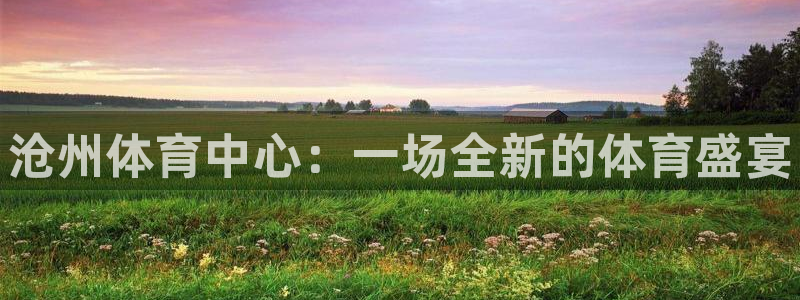 yy易游官方正版app新能源：沧州体育中心：一场全新