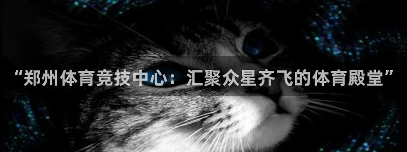 yy易游官方正版app娱乐平台：“郑州体育竞技中心：汇聚众星