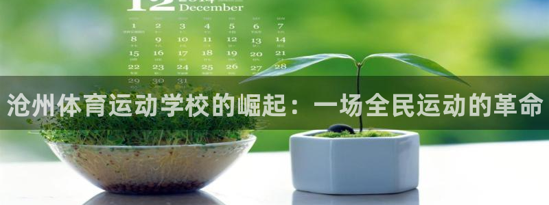yy易游官网下载软件：沧州体育运动学校的崛起：一场全