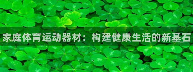 yy易游官方正版app娱乐：家庭体育运动器材：构建健康生活的