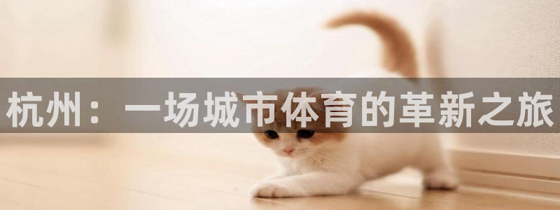 yy易游官方平台体育：杭州：一场城市体育的革新之旅