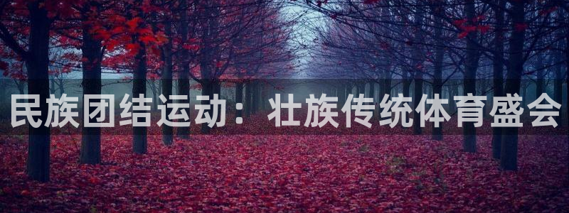 yy易游官方正版app新能源：民族团结运动：壮族传统体育盛会