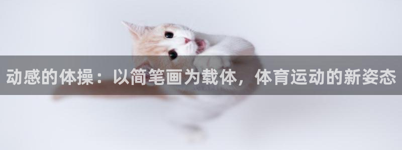 yy易游官方正版app官方：动感的体操：以简笔画为载体，体育