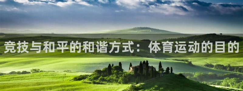 yy易游官方正版app集团logo：竞技与和平的和谐