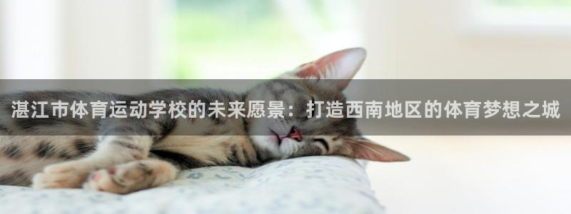 注册yy易游官方正版app：湛江市体育运动学校的未来愿景：打