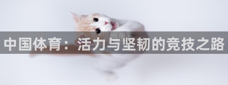 yy易游官网下载平台APP：中国体育：活力与坚韧的竞技之路
