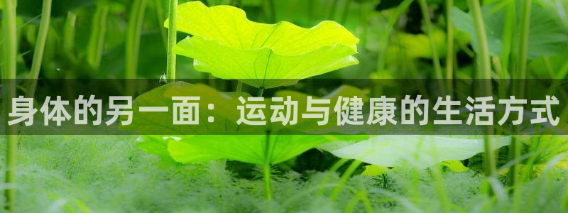 yy易游官方正版app集团官网首页网址：身体的另一面