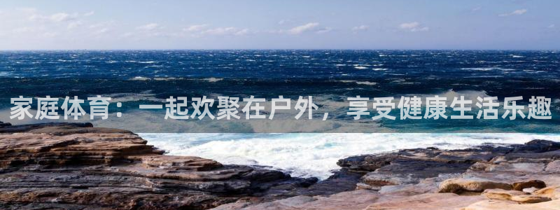 yy易游官方正版app新能源：家庭体育：一起欢聚在户