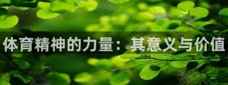 yy易游官网下载招商电话号码是多少啊：体育精神的力量