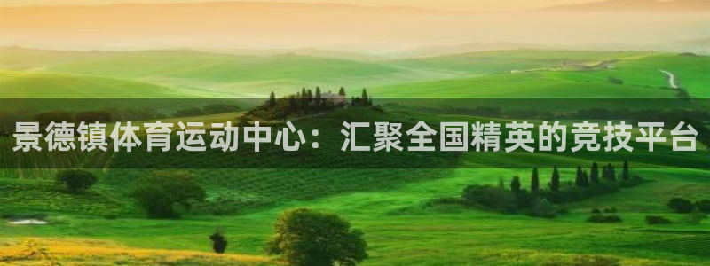 yy易游官网下载娱乐：景德镇体育运动中心：汇聚全国精