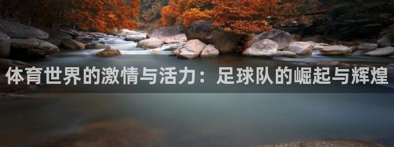 yy易游官网下载平台注册流程视频：体育世界的激情与活力：足球