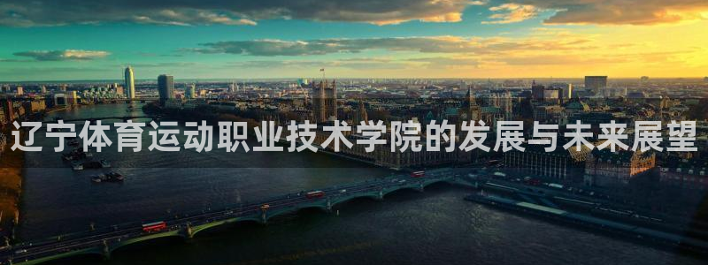 yy易游官方正版app娱乐网站：辽宁体育运动职业技术