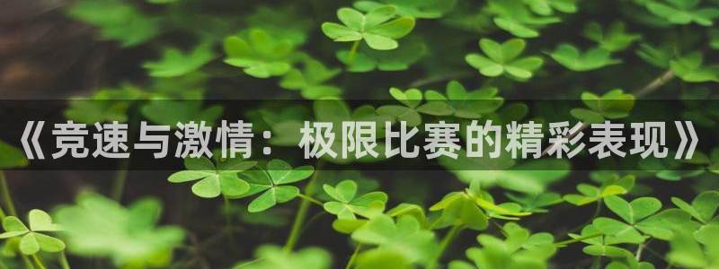 yy易游官方正版app集团logo：《竞速与激情：极