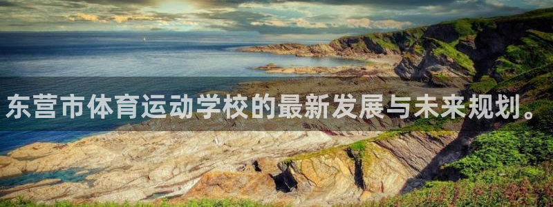 yy易游官方正版app官方：东营市体育运动学校的最新