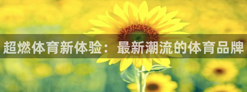 yy易游官网下载招商电话号码查询：超燃体育新体验：最新潮流的