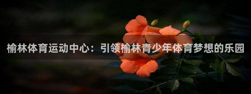 yy易游官网下载