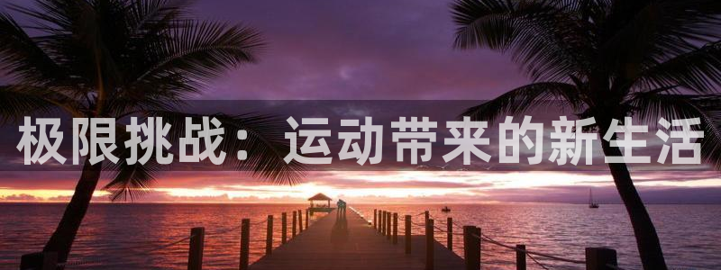 yy易游官方正版app新能源：极限挑战：运动带来的新生活